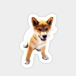 Shiba Inu Puppy Dog Sticker